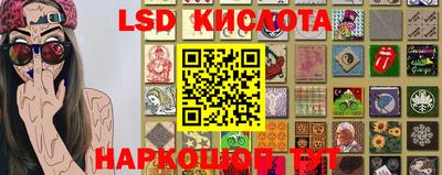 ПСИЛОЦИБИНОВЫЕ ГРИБЫ Краснознаменск