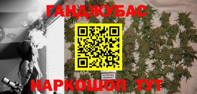 гидропоника Пенза