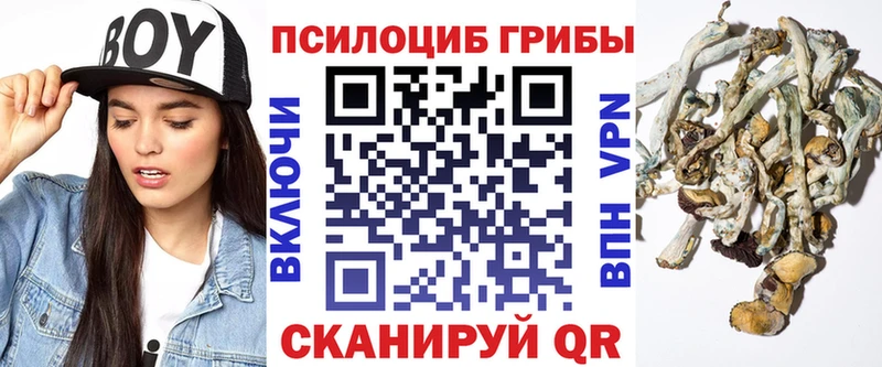 Галлюциногенные грибы мухоморы  Солнечногорск 
