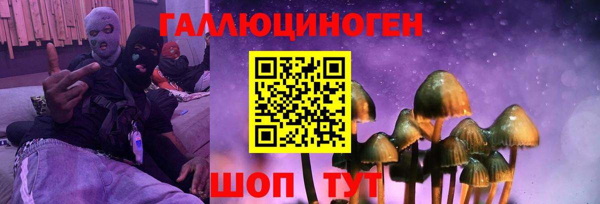 Галлюциногенные грибы ЛСД  Вход с VPN  Солнечногорск  Галлюциногенные грибы мицелий 