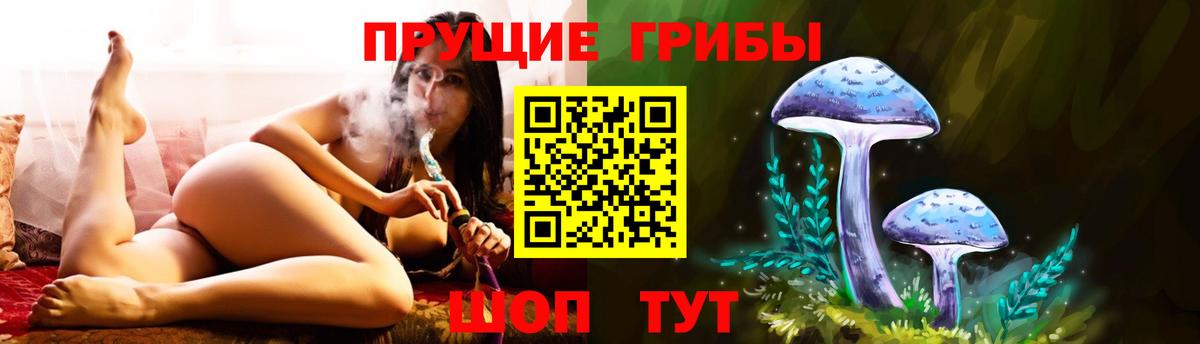 Псилоцибиновые грибы мицелий  наркошоп  Солнечногорск  Вход с VPN  Псилоцибиновые грибы Psilocybe 