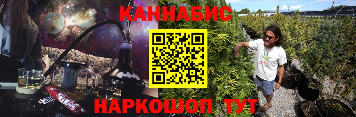Бошки Шишки семена Солнечногорск